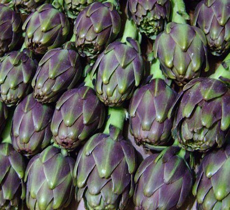 Artichoke