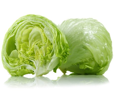 Iceberg Lettuce 