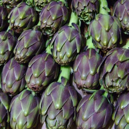 Artichoke-banner