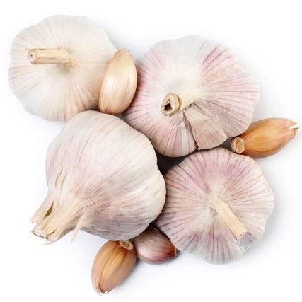 Fresh-Garlic